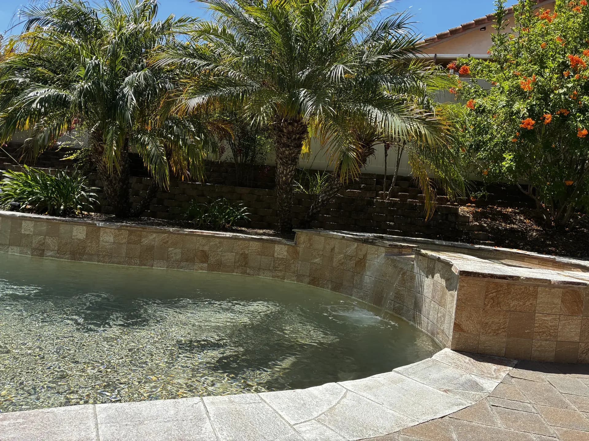 Customer pool with date palms, mosaic tile, and a stone waterfall feature serviced by Murdock Pool Service