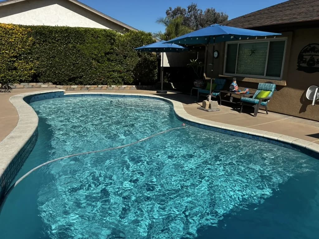Sparkling customer pool with hedge, lounge umbrella, and patio set after a Murdock Pool Service visit